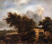 RUISDAEL, Jacob Isaackszon van, The Thicket